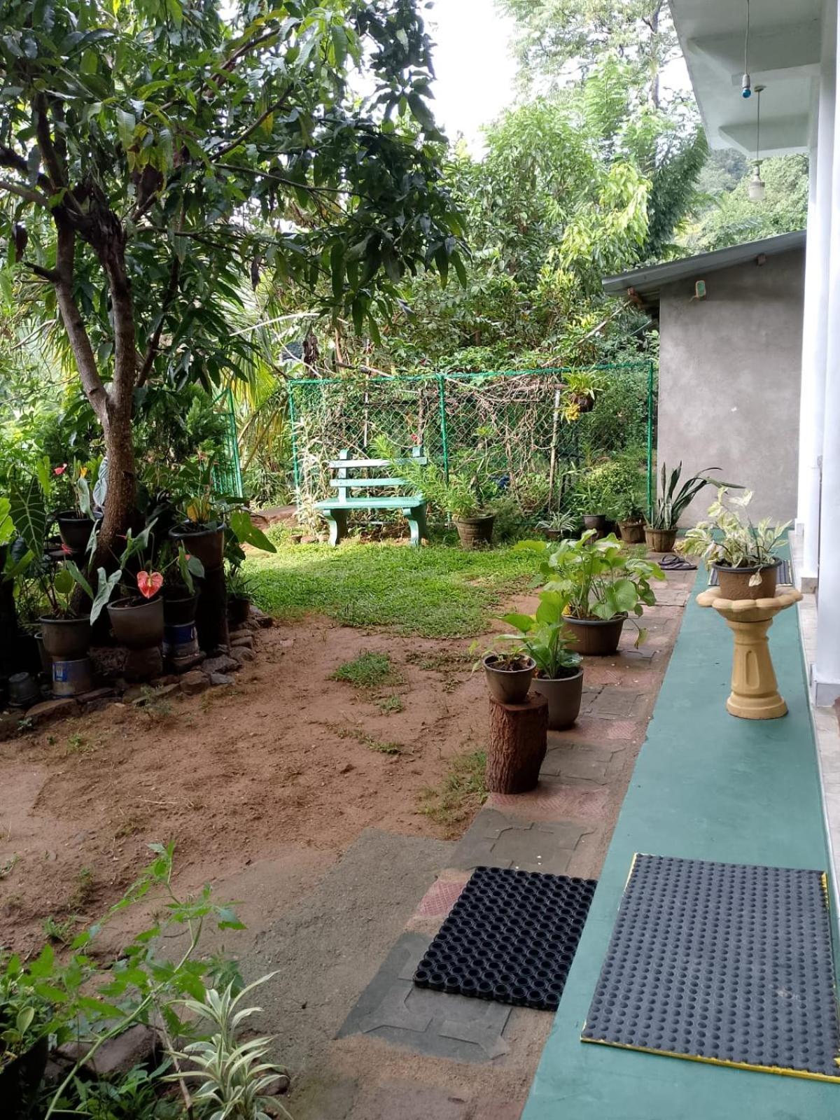 Pasan Guest Bed & Breakfast Ella Exterior photo